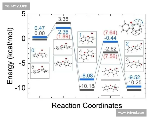 科技赋能体育：AI预测模型如何改变赛事分析